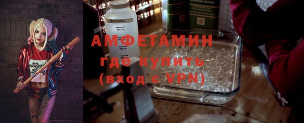 индика Аркадак