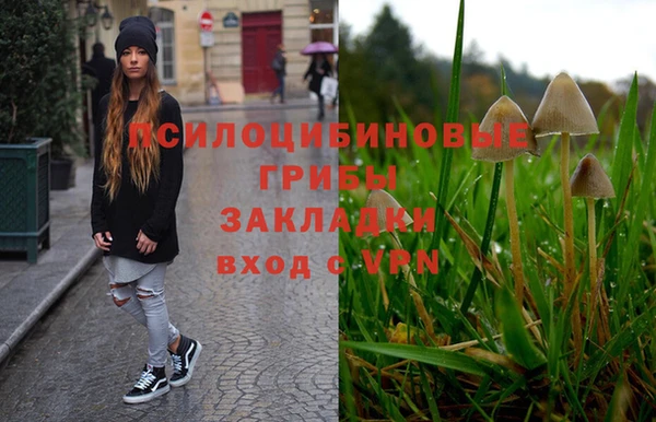 индика Аркадак