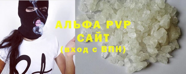 индика Аркадак