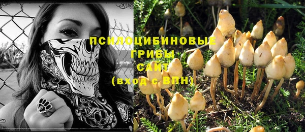 таблы Армянск