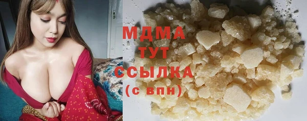 индика Аркадак